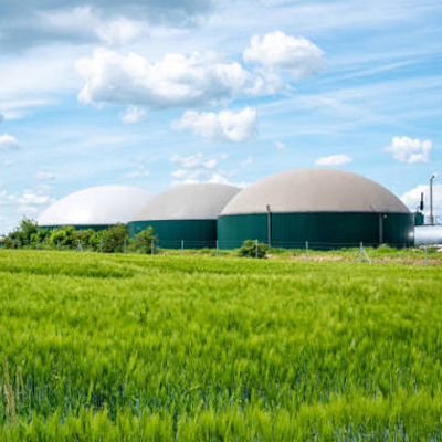 Agriculture-&-Biomass